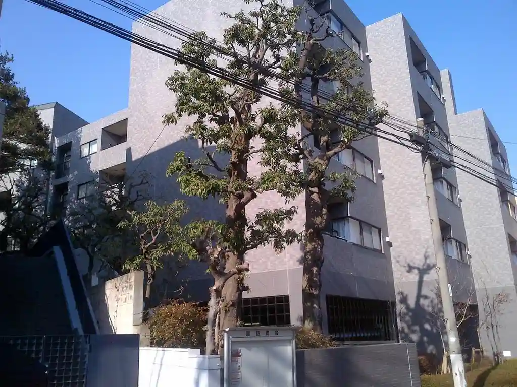 エル・セレーノ西早稲田 外観