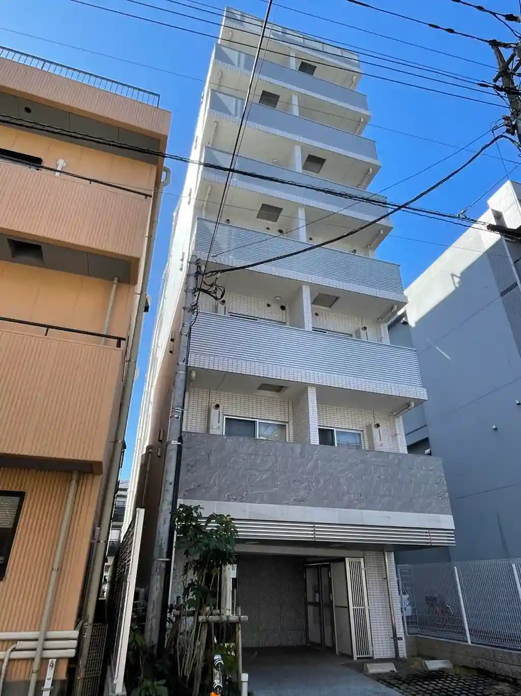 ベルグレードKS TRE 外観