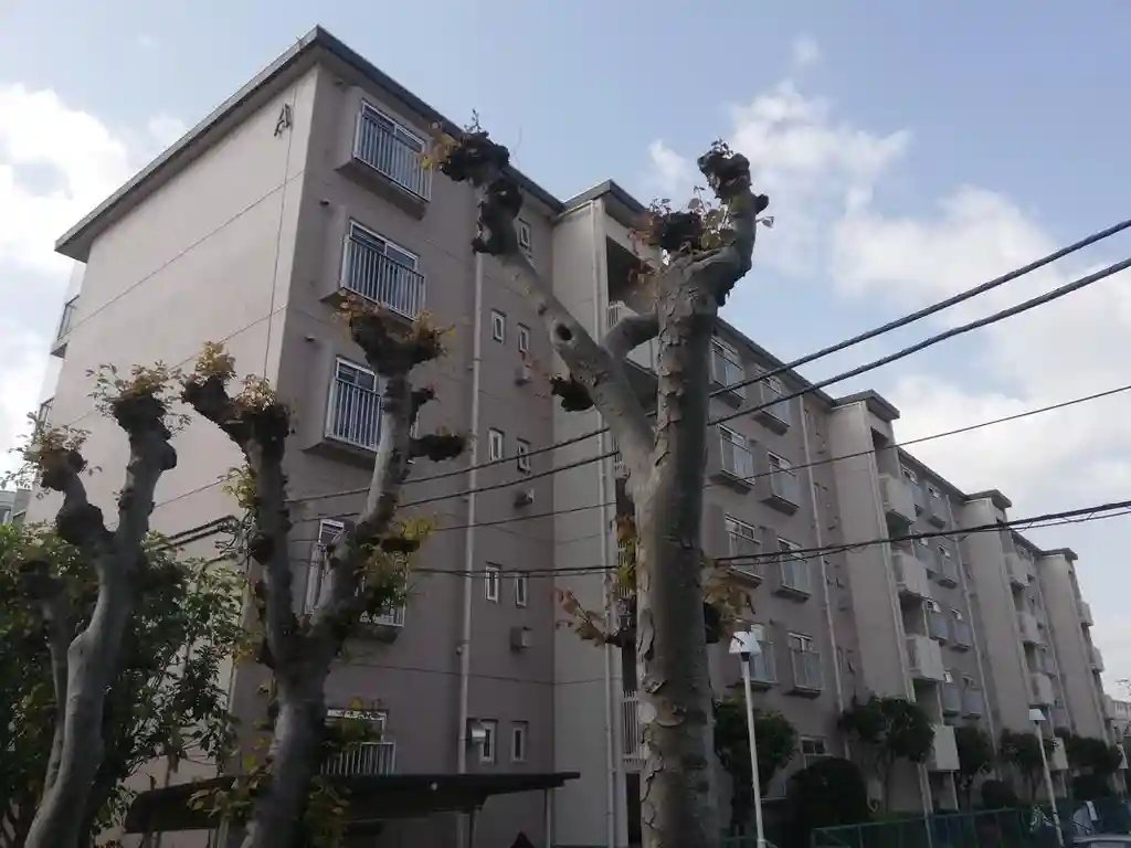 京王山田マンションA棟 外観