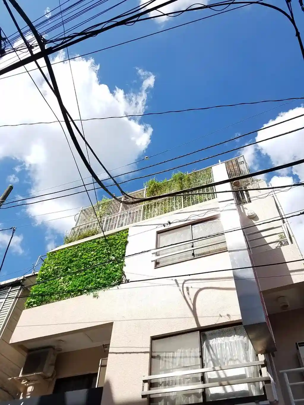 鎌田ビル 外観