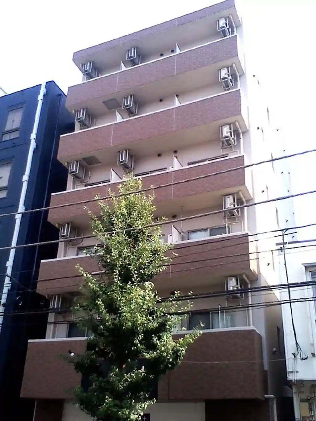 MARIE'S WEB 外観