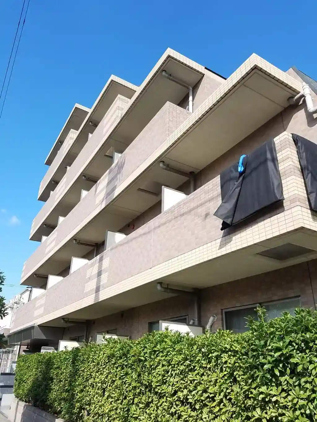コンフォリア・リヴ市川妙典 外観