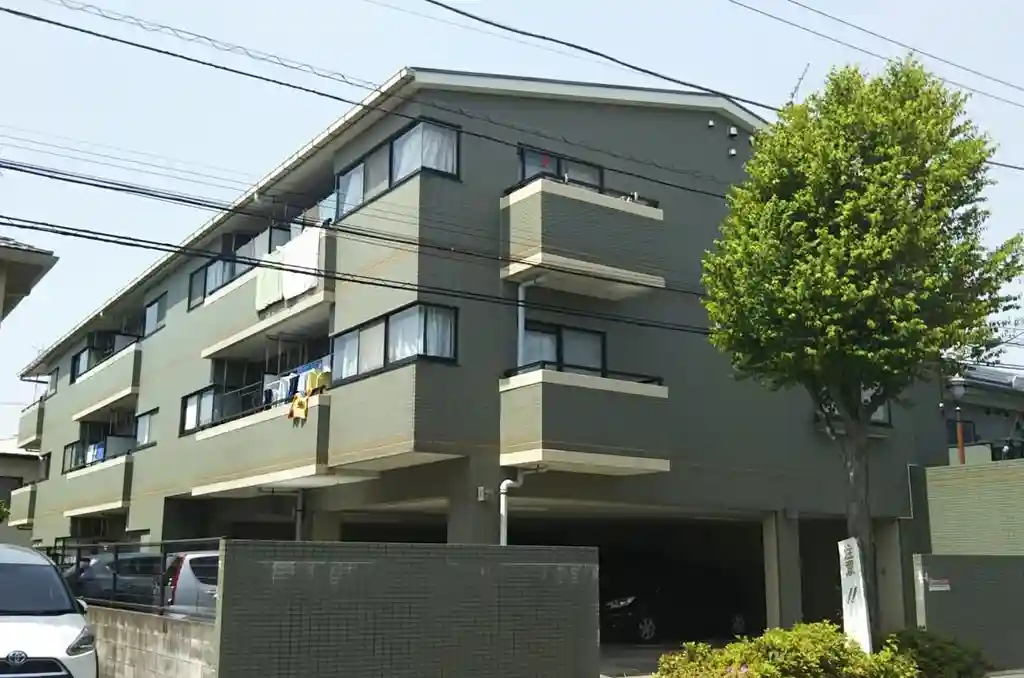 アローカリア 外観