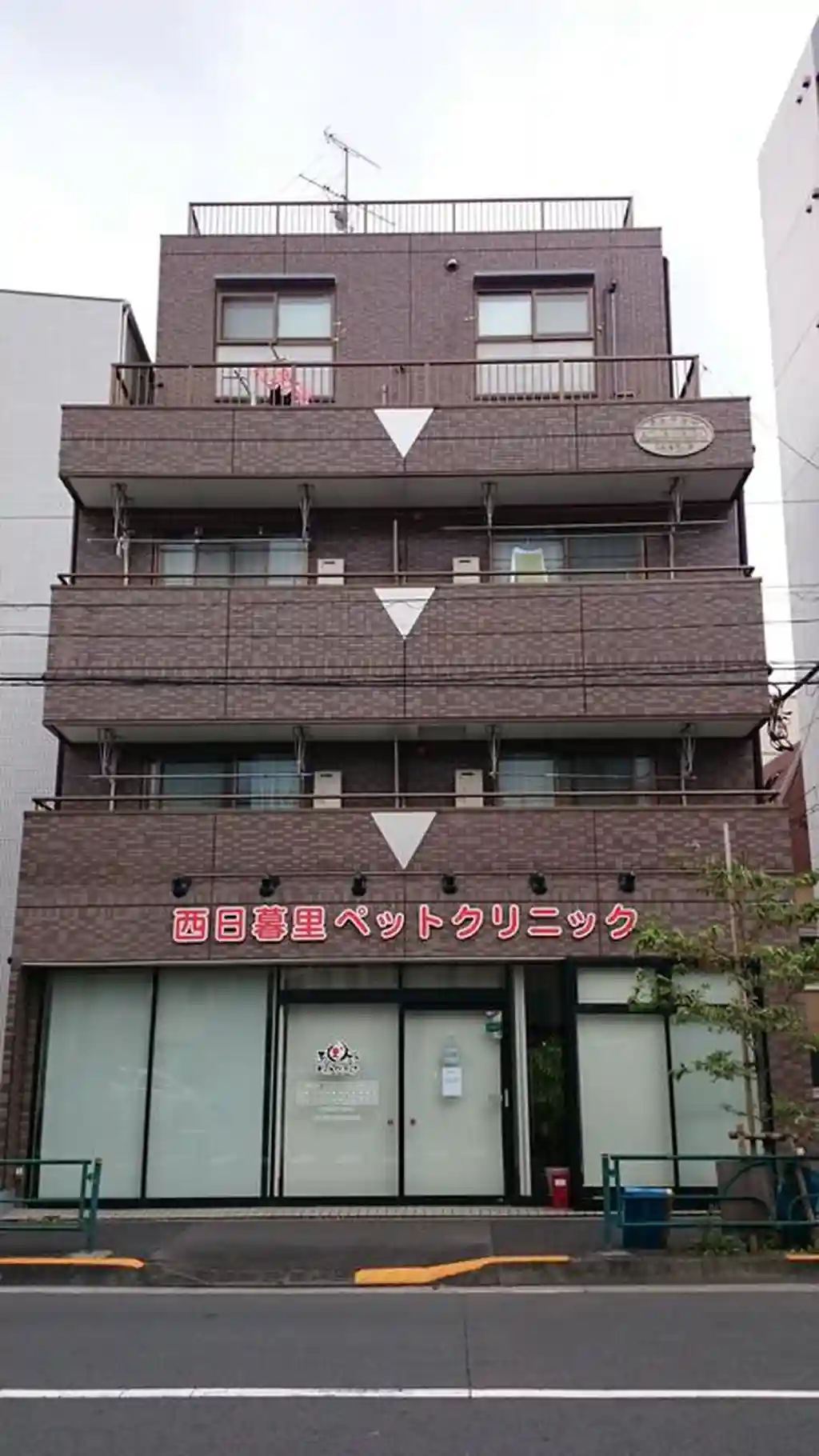 アルビレオ 外観