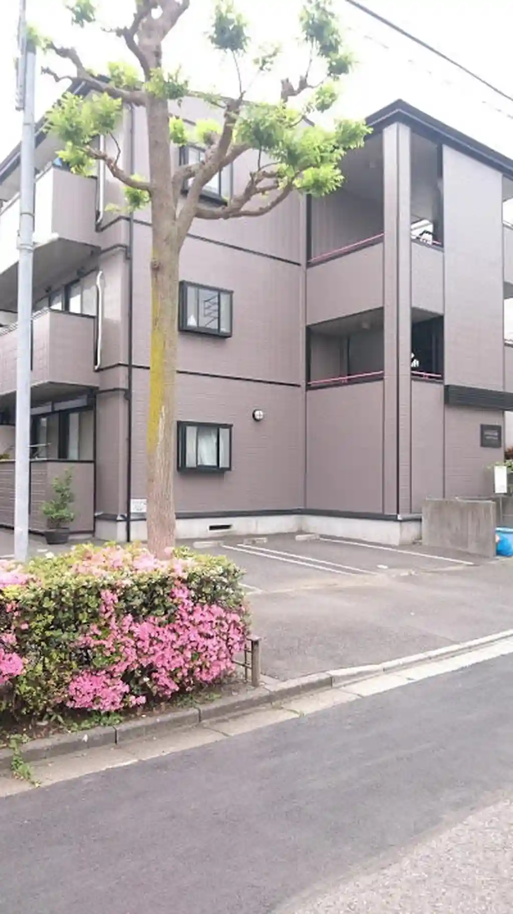 ARCADIA GSII 外観