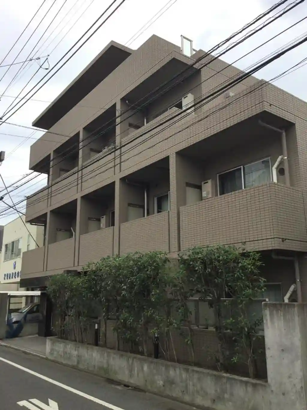 prosperare 外観