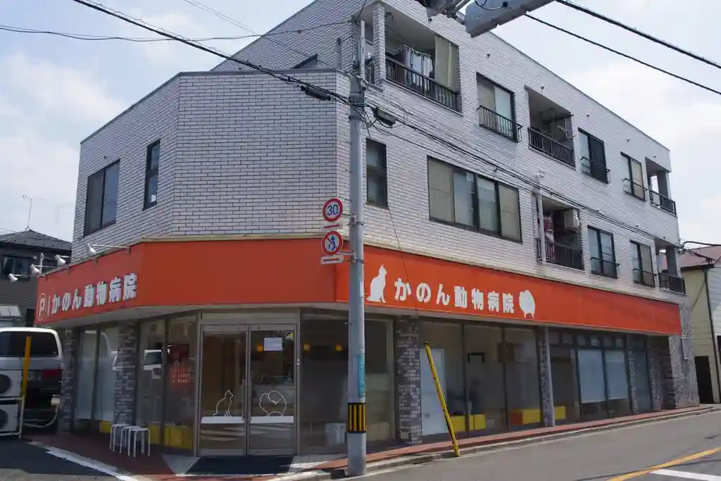 レジデンス与野 外観