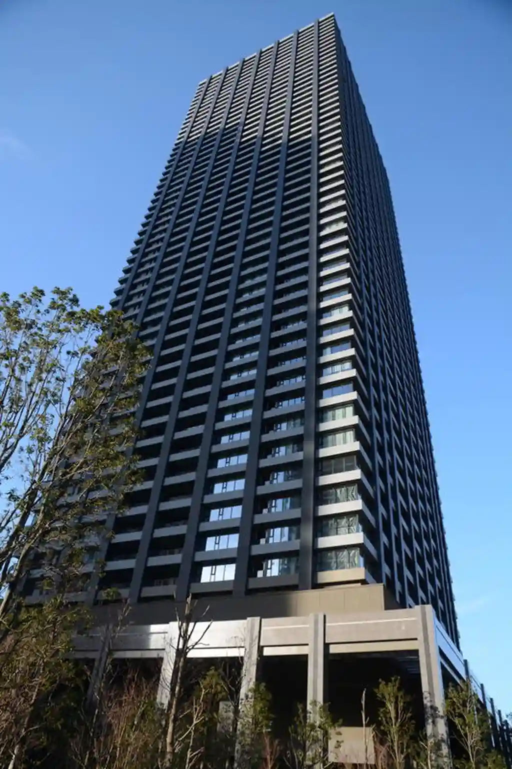 シティタワー武蔵小杉 外観