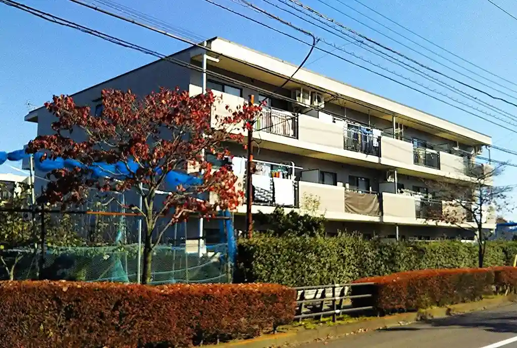 アムール 外観