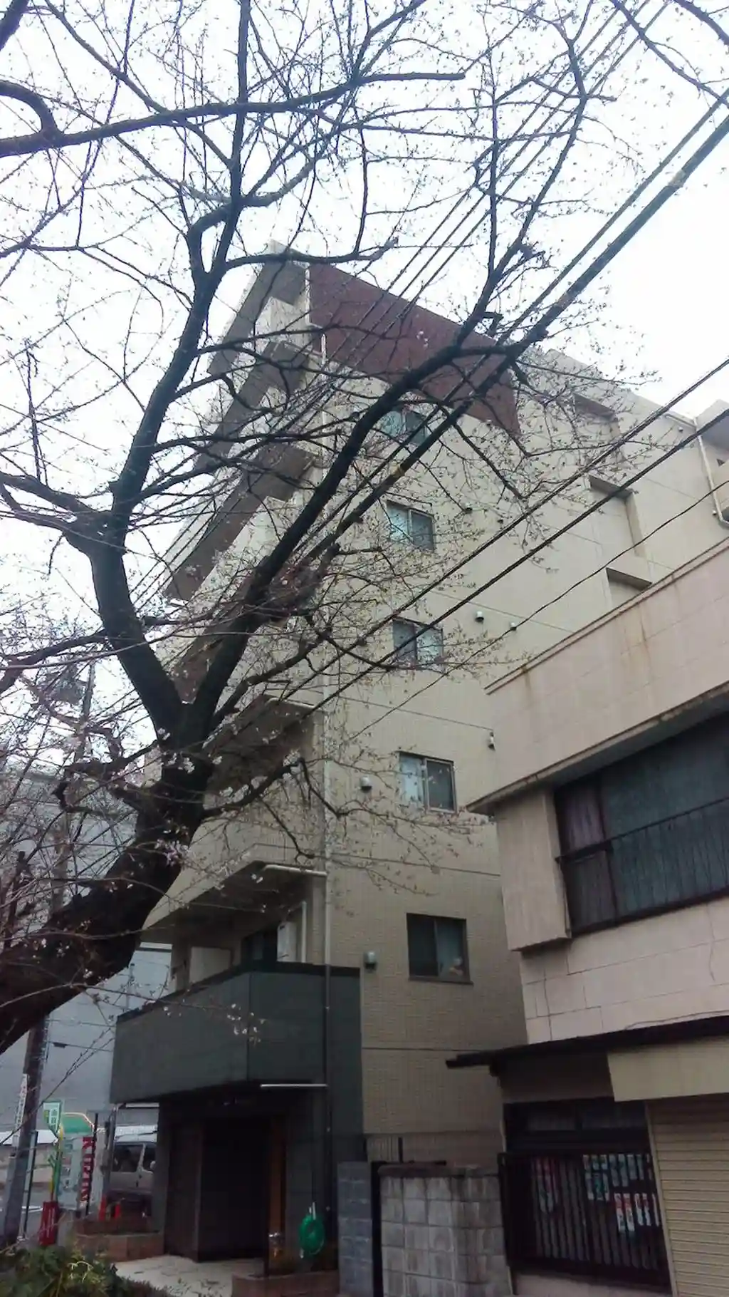 スカイコートヌーベル中村橋 外観