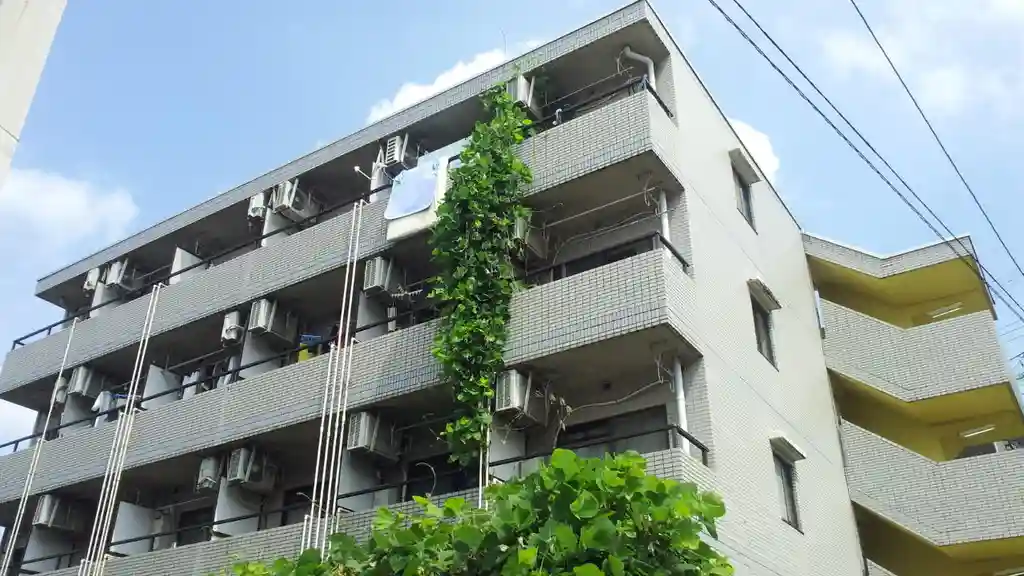 セシーズ生田 外観