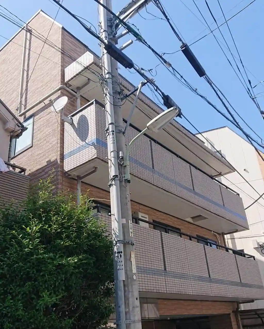 リリックス 外観