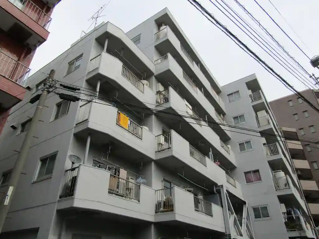 ダイアパレス上池台 外観