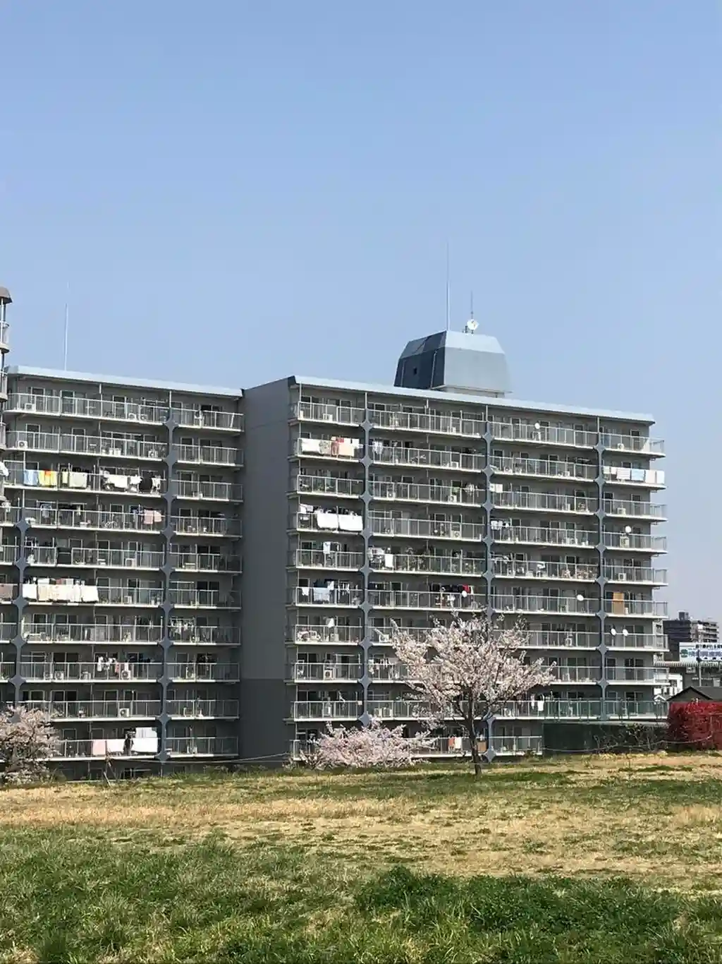 グリーンビュー第3川口 外観