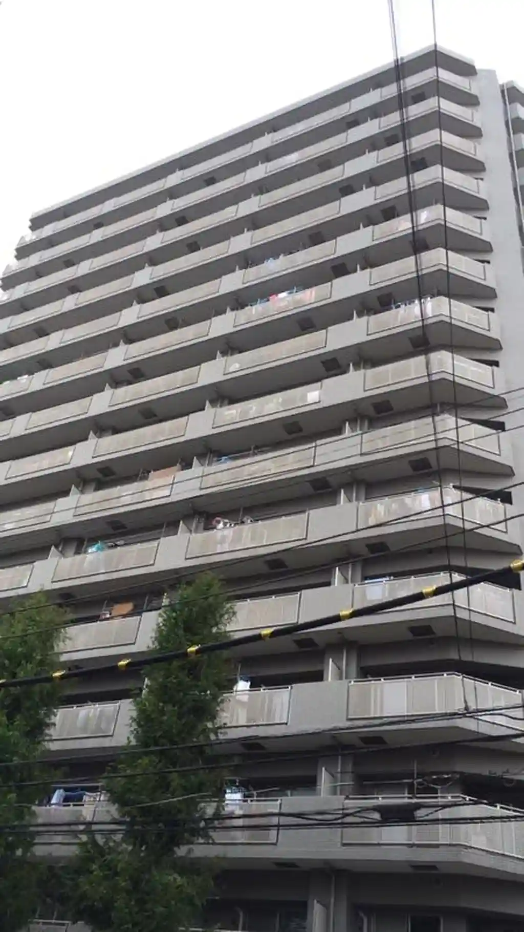 レックスハイツ綾瀬 外観