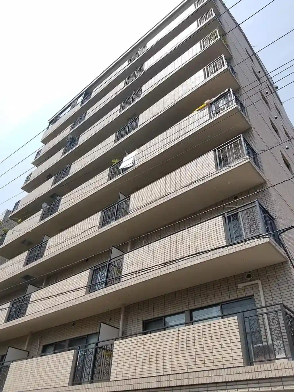 バイムフルス白金 I 外観