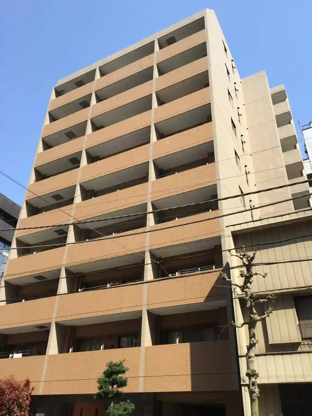 プリムローズ浅草駒形 外観