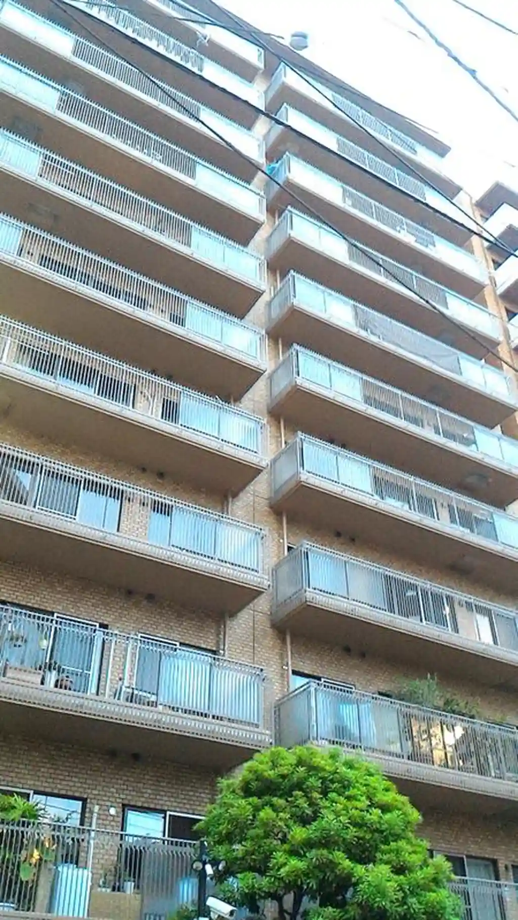 イトーピア渋谷桜ケ丘 外観
