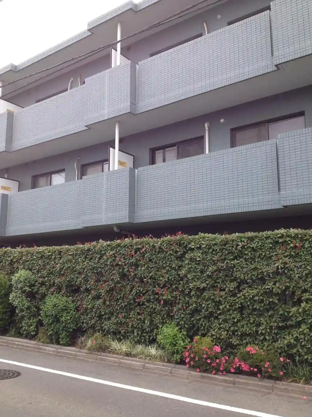 メゾンアベニール 外観