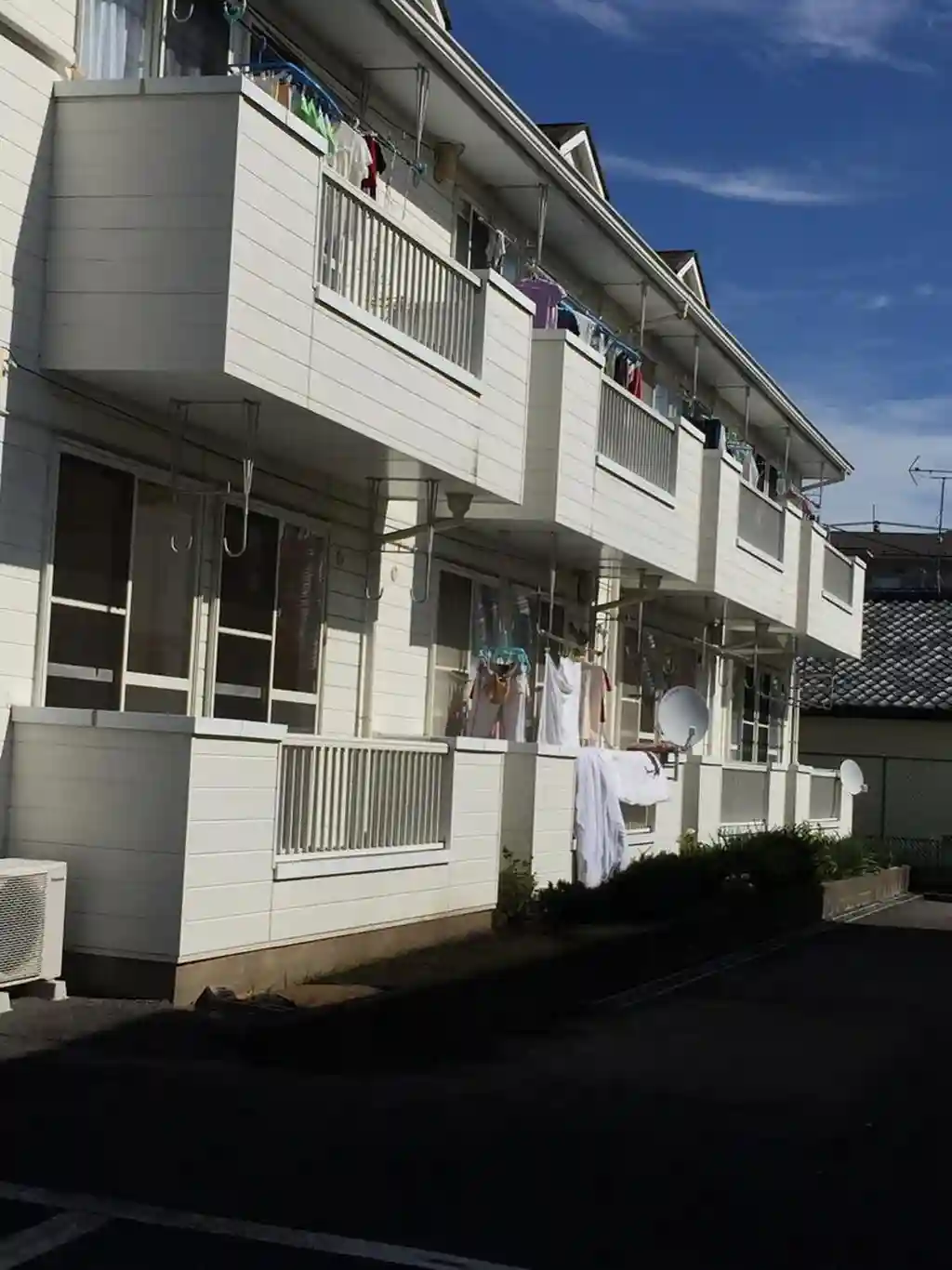 ジュネスオシダA 外観