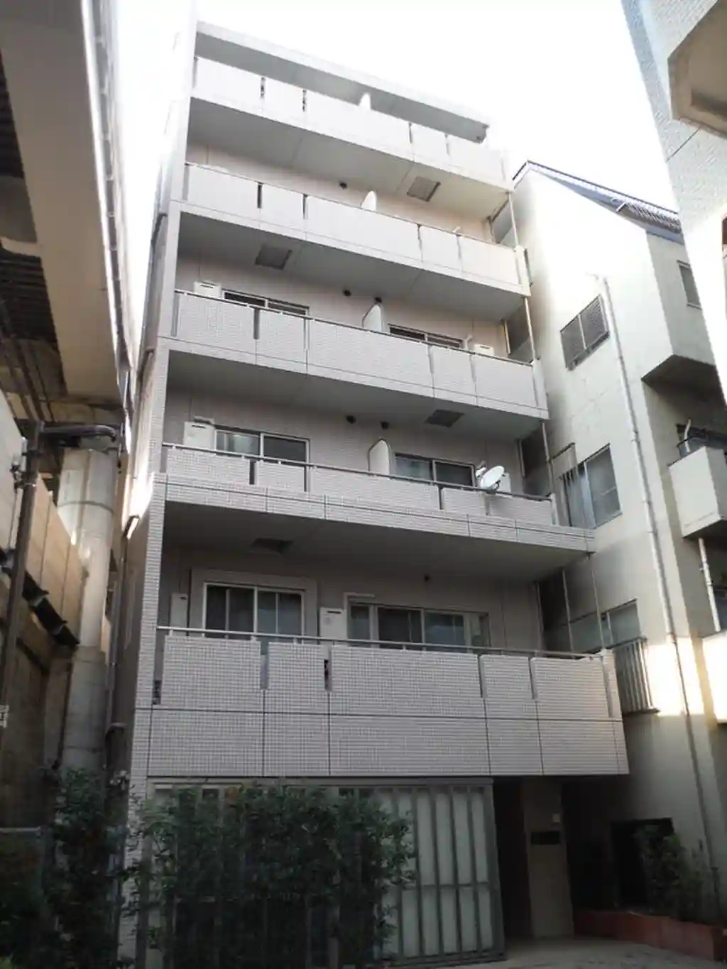 エミリー 外観