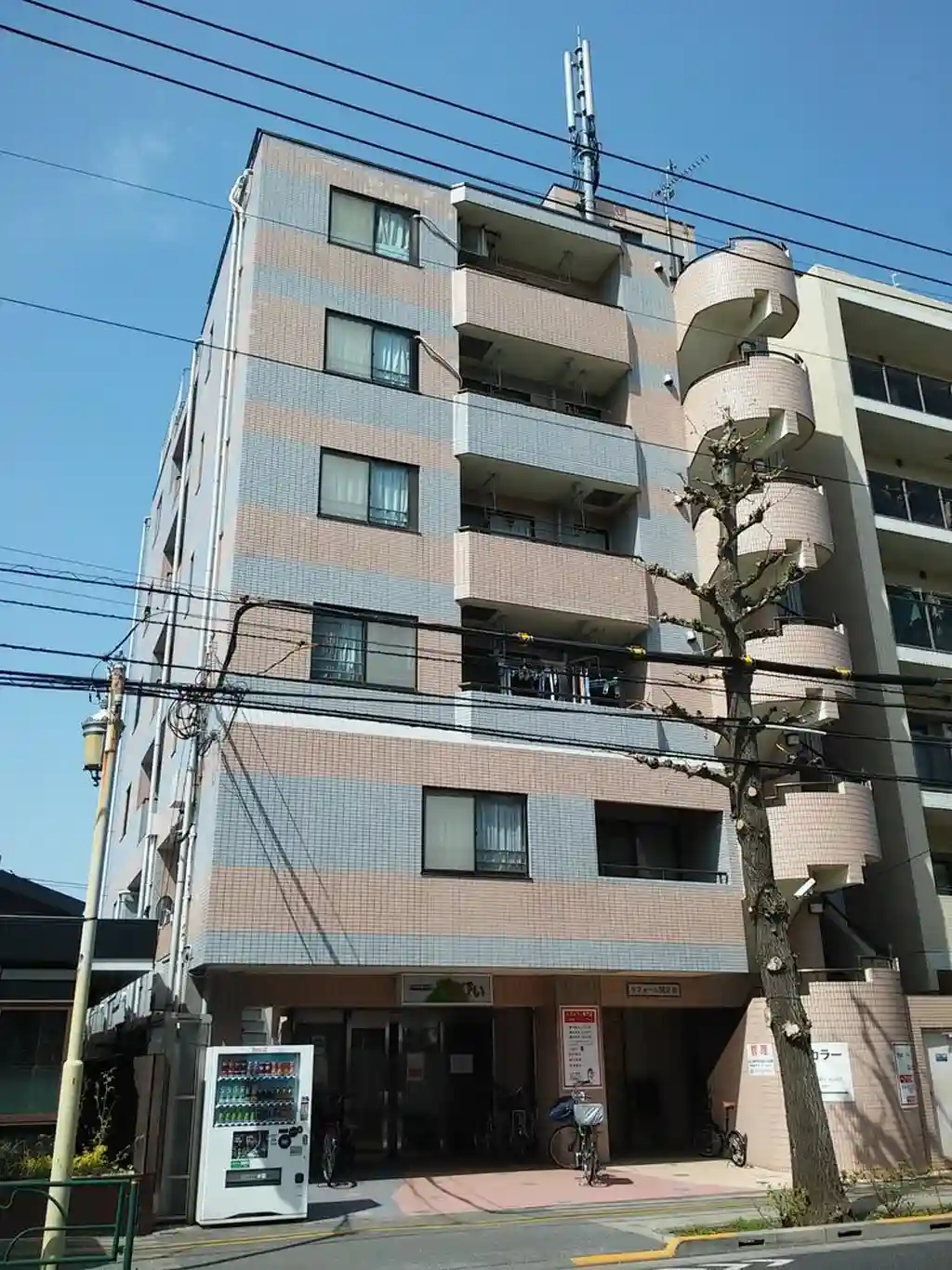 ラフォーレ国立 III 外観