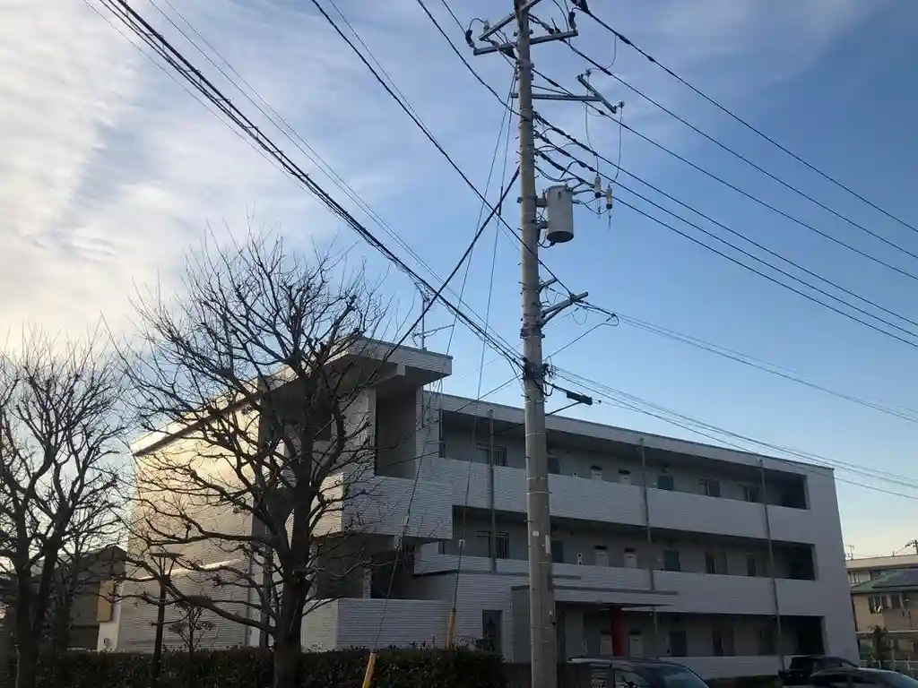 ANIMALE 外観