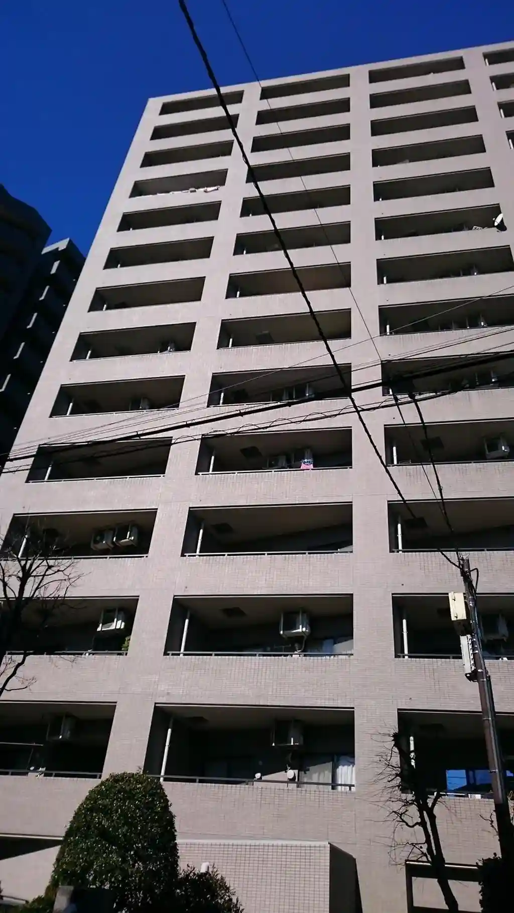 ルーブル板橋区役所前 外観