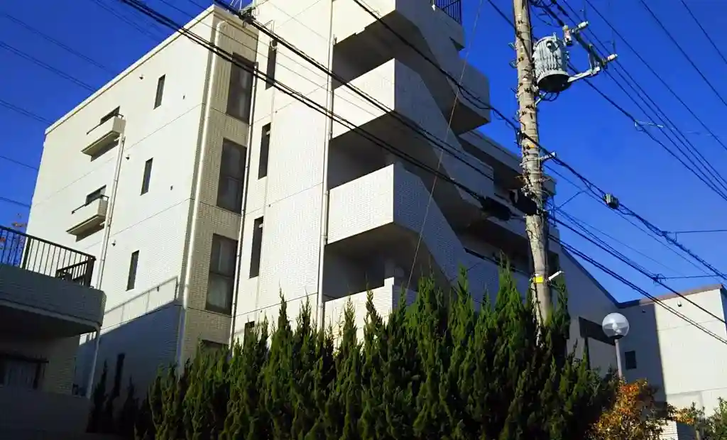 シャロン・エダ 外観