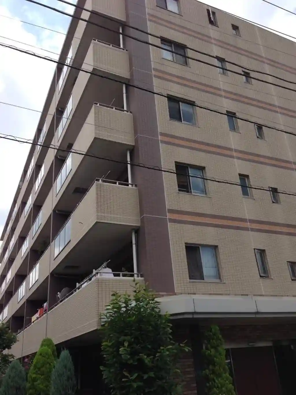 藤和シティホームズ金町ラフィーネ 外観