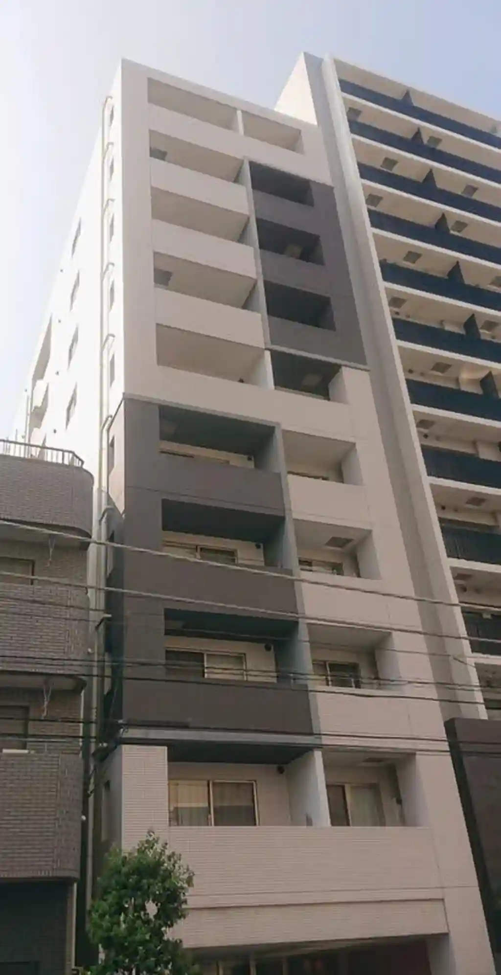 ウインドシティ根岸 外観