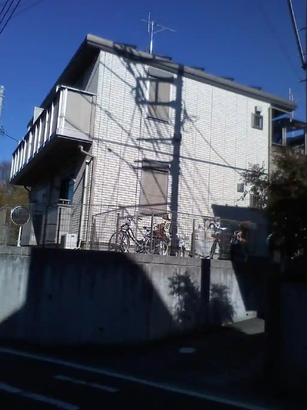 オーク 外観
