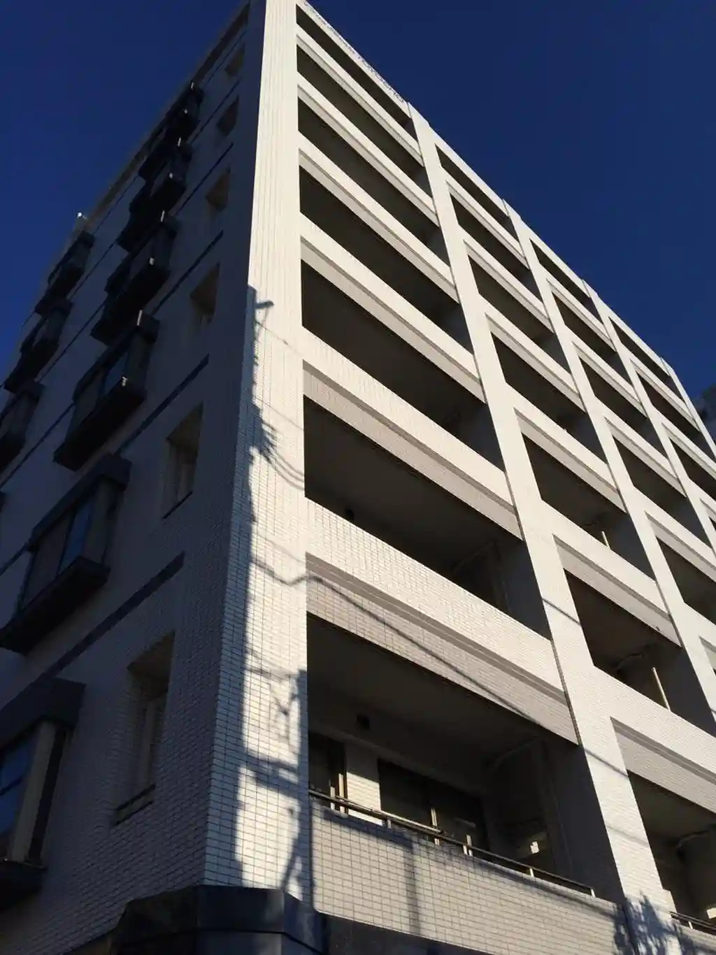 デュオ・スカーラ東陽町 外観