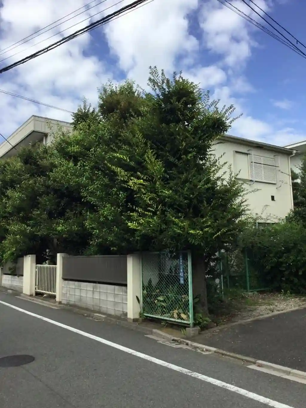 パセニアーズハウス 外観