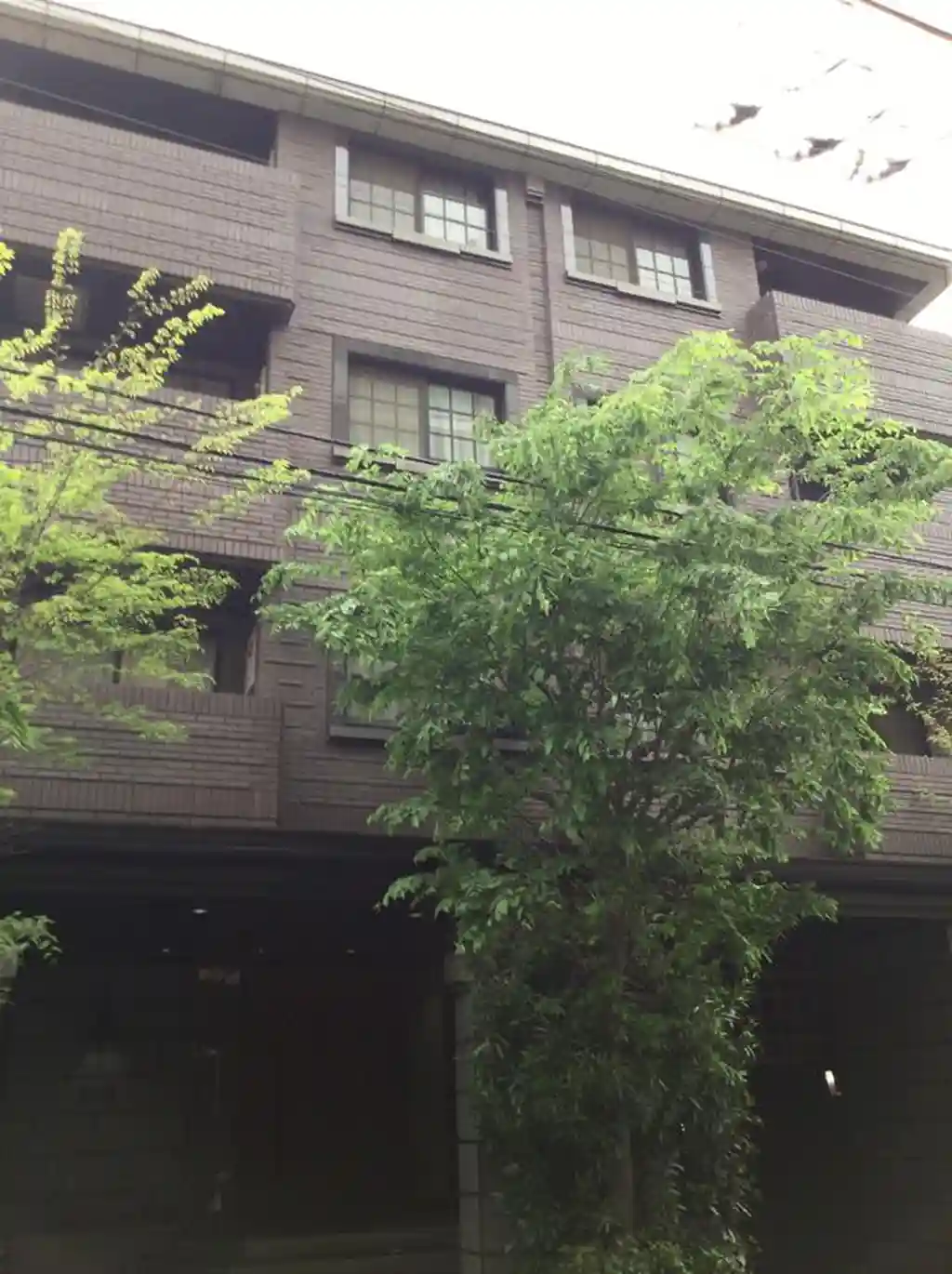 シュロス桜新町 外観