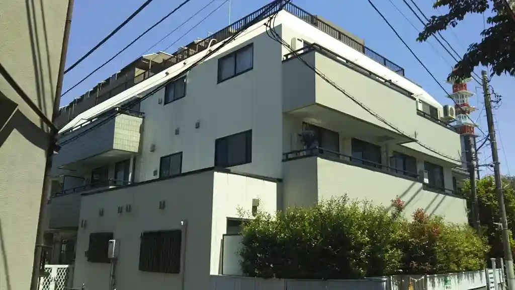 SAMERIYA 外観