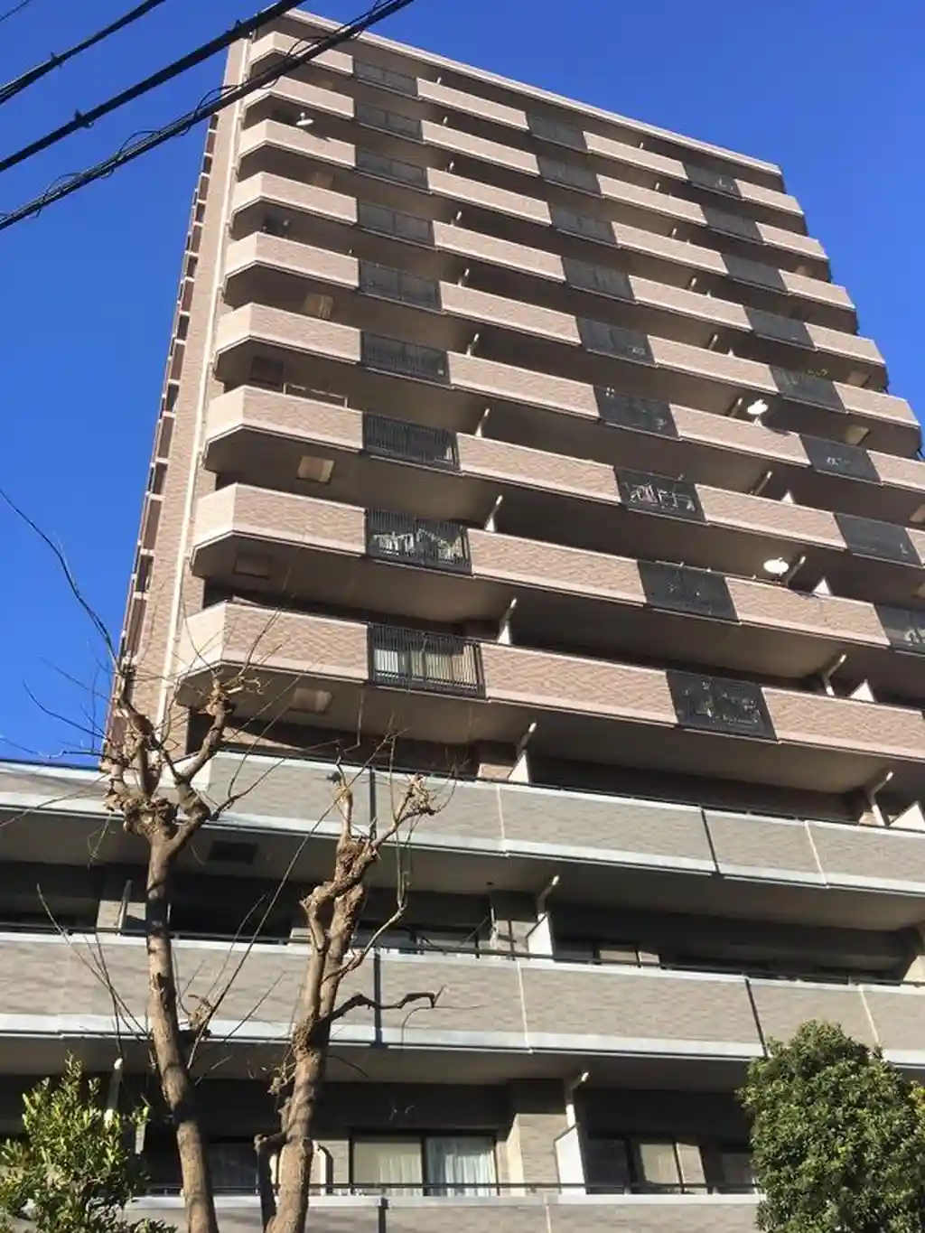 ルネサンスフォルム溝の口 外観