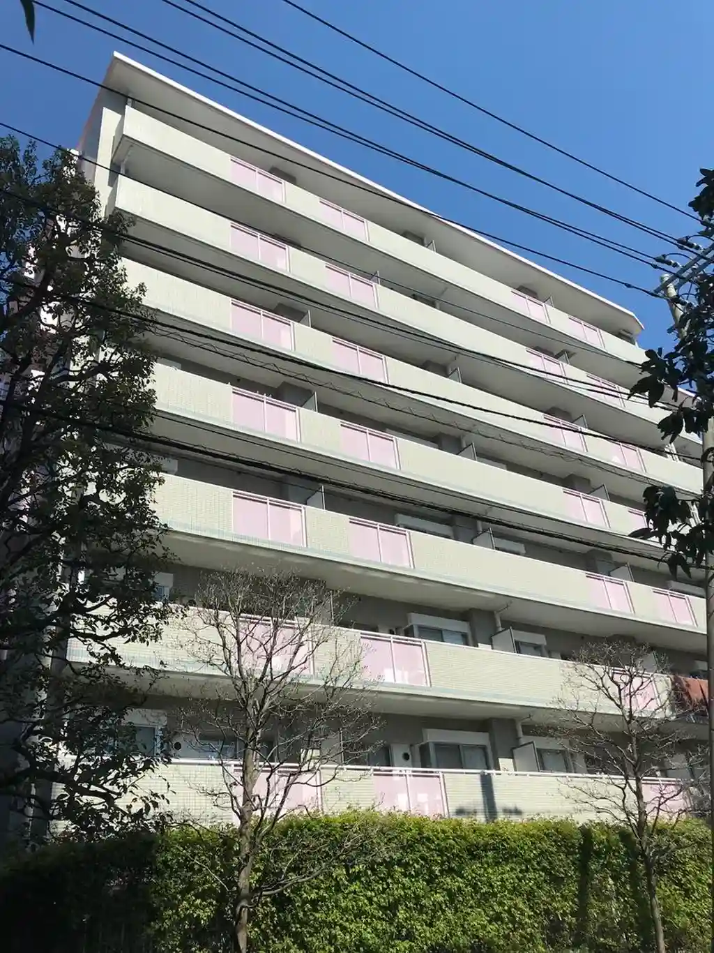 パークサイドハイツタケノヤ 外観