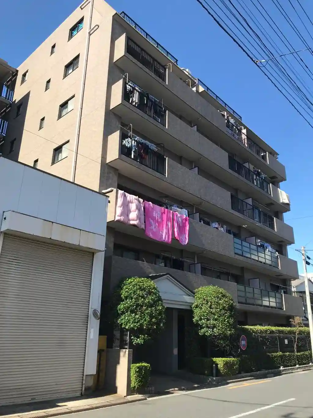 メイツ川口栄町 外観