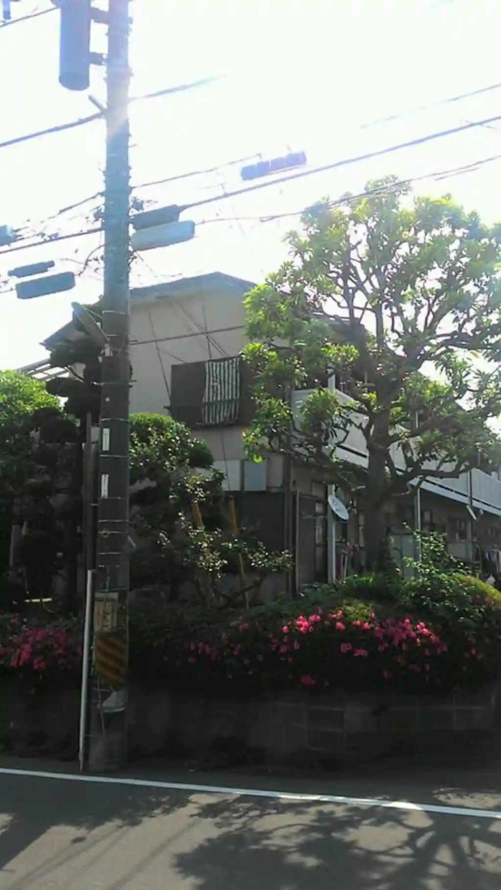 第一持田ホーム 外観