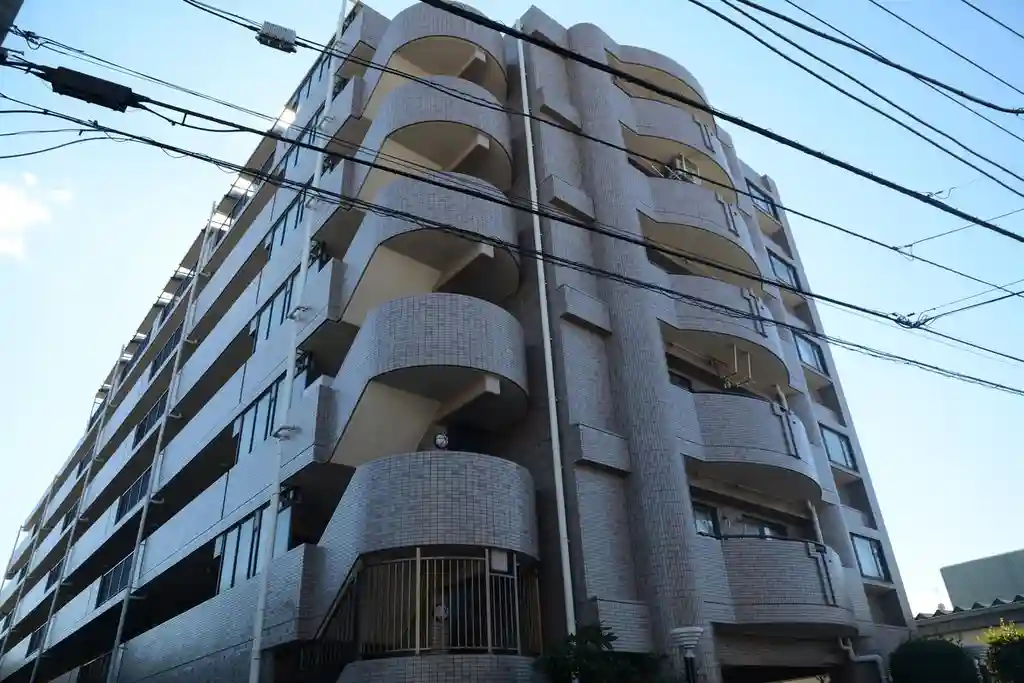 ナイスアーバン新川崎 外観