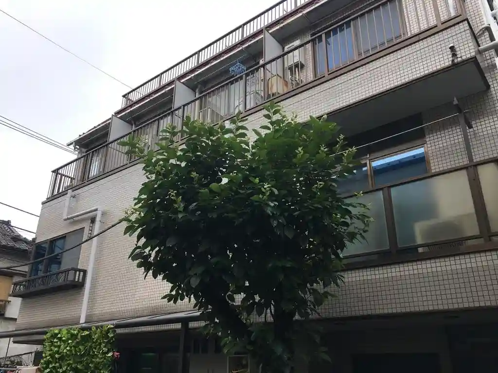 パーシモンハウス 外観