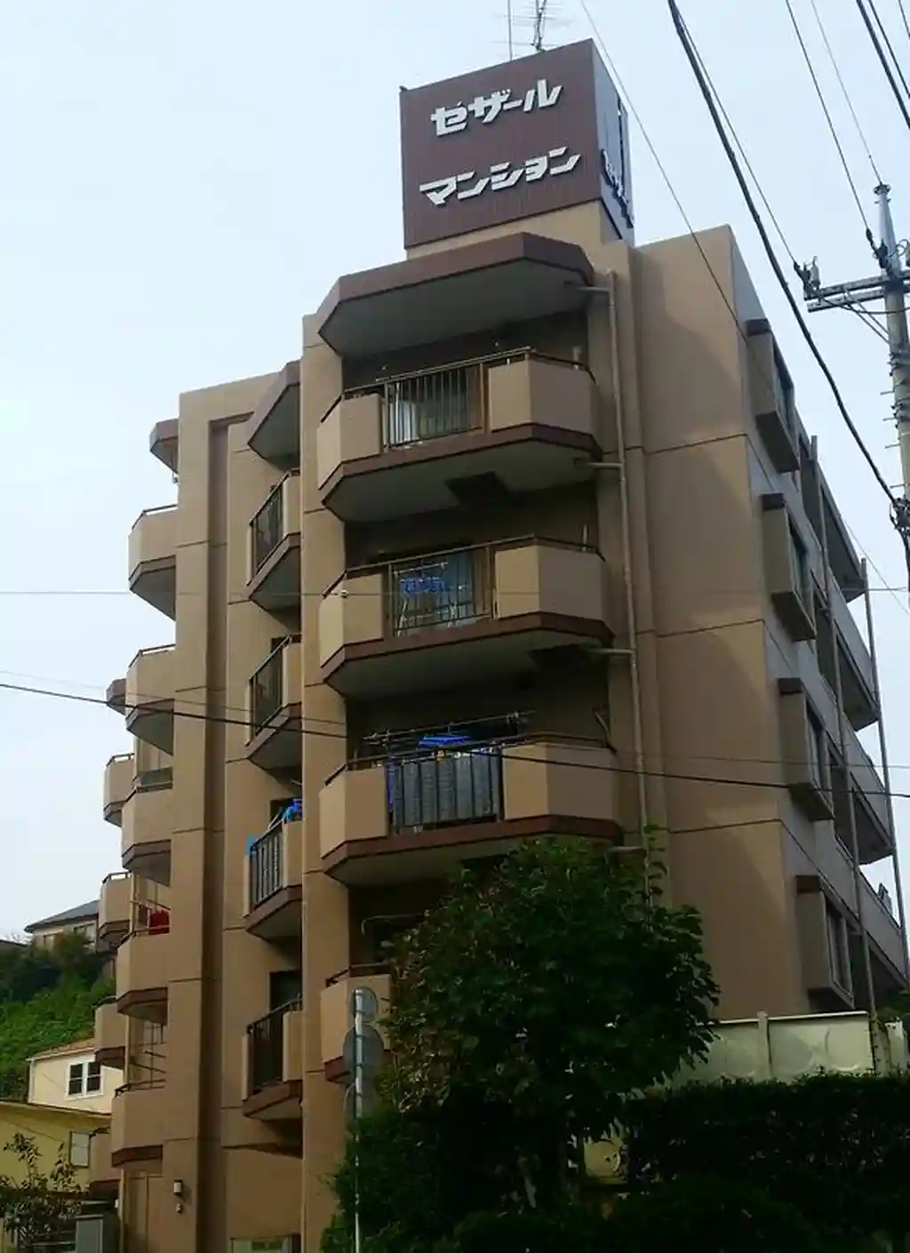 セザール梶ケ谷 外観