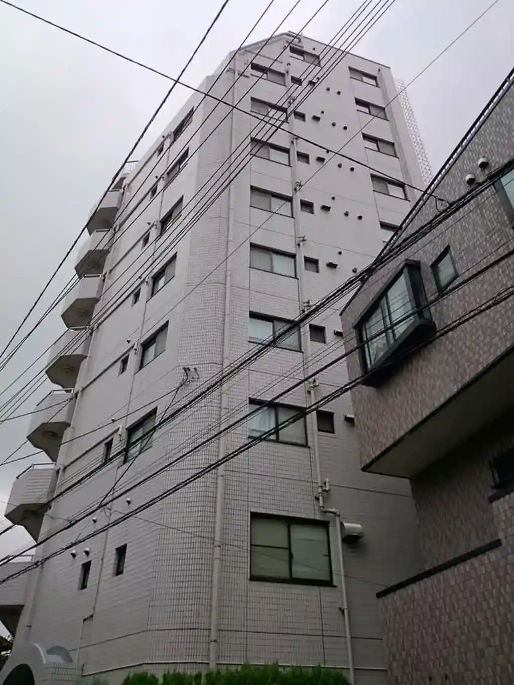 CATS 外観