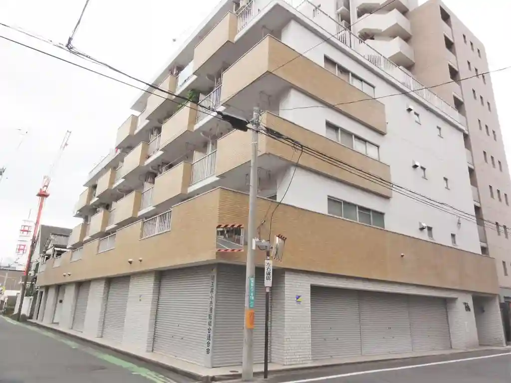 ハイマートときわ 外観