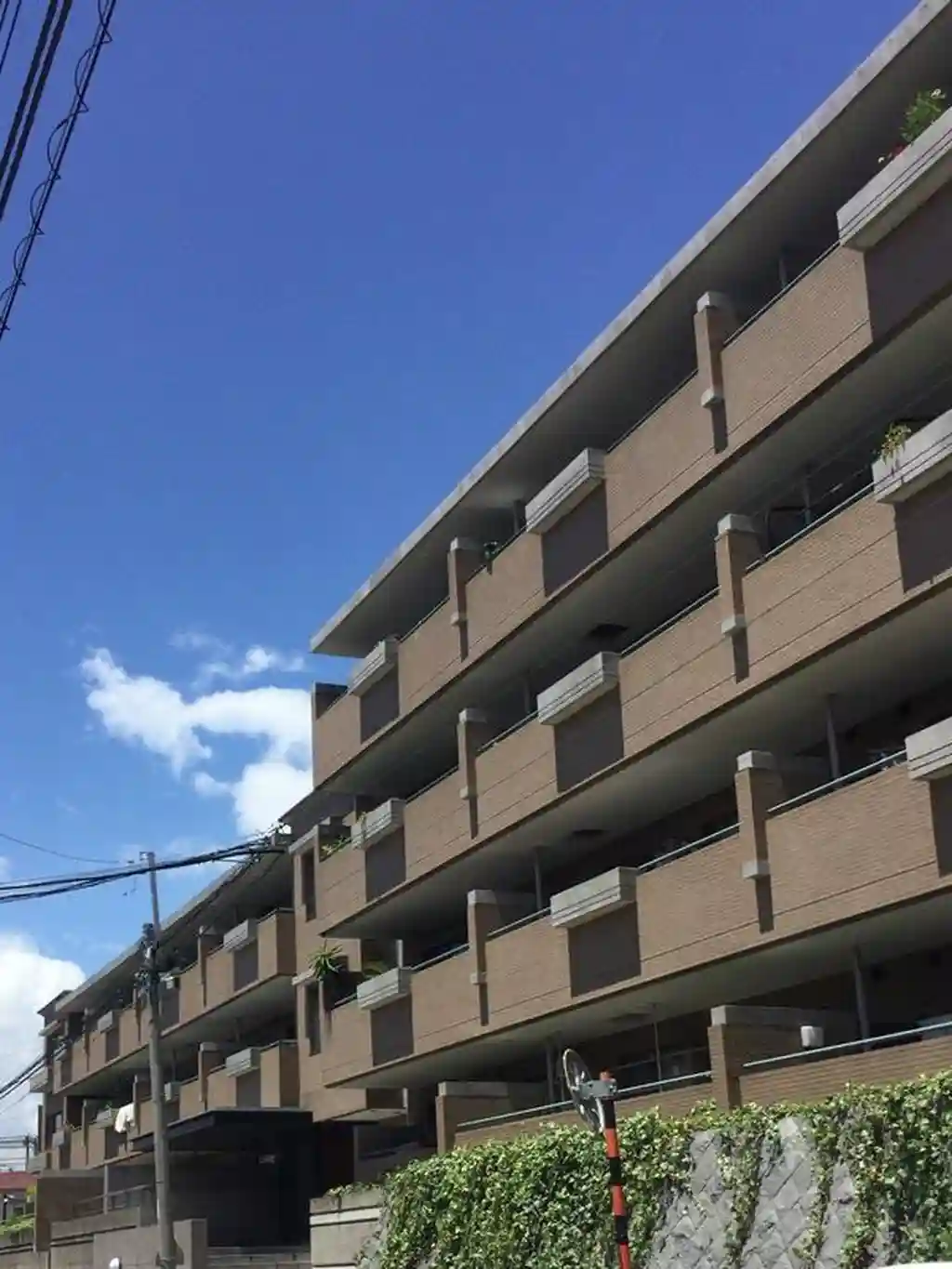 パーク・ハイム東雪谷 外観