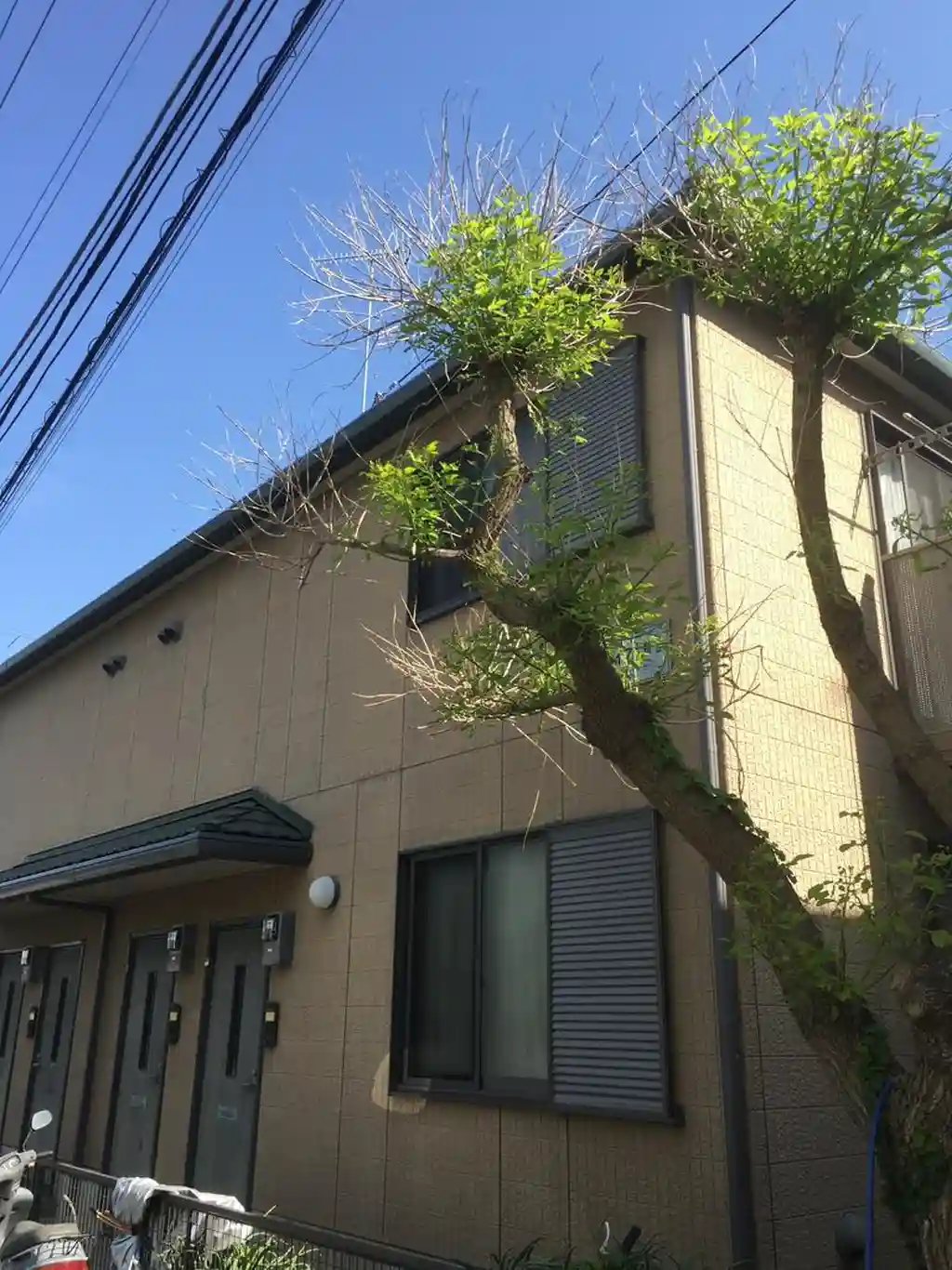 サンライフ片瀬 外観