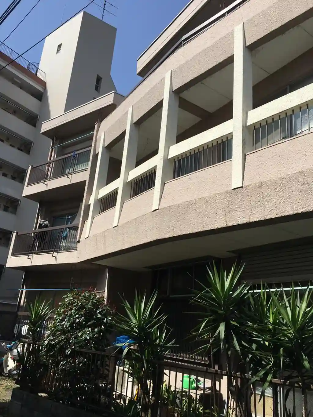メゾン杉崎 外観
