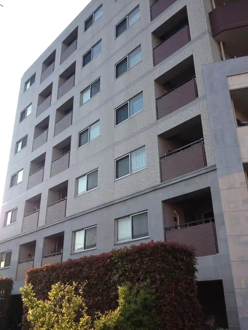 ダイナシティ千鳥町 外観