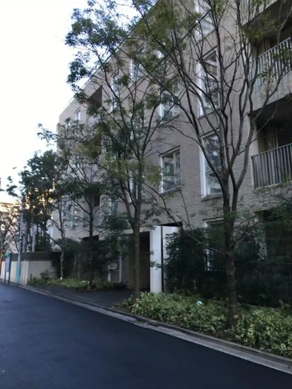 Blossom Terrace 外観